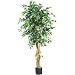 6' Palace Style Ficus Silk Tree