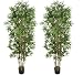 TWO Pre-Potted 6' Artificial Bamboo Trees with REAL BAMBOO TRUNKS