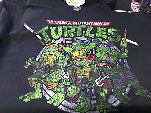 Teenage Mutant Ninja Turtles Group Distressed T-Shirt