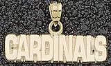 Tampa Bay Buccaneers Flag Giant Silver Pendant