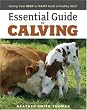 Essential Guide to Calving: Giving Your Beef or Dairy Herd a Healthy Start