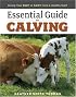 Essential Guide to Calving: Giving Your Beef or Dairy Herd a Healthy Start