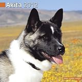Akita 2012 Wall Calendar #10003-12
