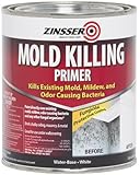 Rust-Oleum 276087 Mold Killing Primer Quart
