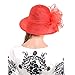 WOMEN'S Cloche Oaks Church Dress Bowler Derby Wedding Hat Party S015