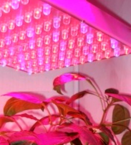 驚異のΦ１０強力LED１１２球！水耕栽培野菜工場　プロ専用
