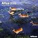 Africa 2009 Calendar (Grid Calendar)