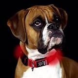 Nite Ize Nite Dawg Collar