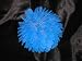 Ganz Flower Balls Blue
