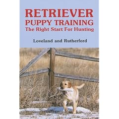 Retriever Puppy Training: The Right Start for Hunting