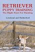 Retriever Puppy Training: The Right Start for Hunting