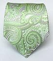 100% Silk Woven Apple Paisley Tie