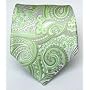 100% Silk Woven Apple Paisley Tie