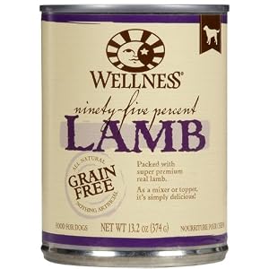 Wellness Canned Dog Food for Adult Dogs, 95% Lamb, 12-Pack of 13.2 oz. Cans