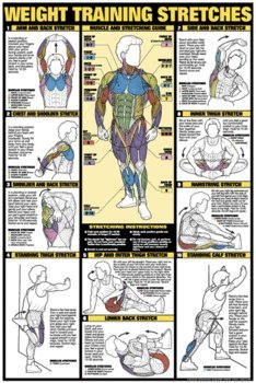 Weight Training Stretches 24" X 36" Laminated Chart reviews