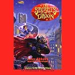Journey to the Volcano Palace: The Secrets of Droon Book 2 | Tony Abbott
