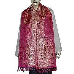 Elegant Scarves Brocade Silk Fashion Accessory 22 x 72 inches (ssb056)