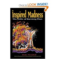 Inspired Madness: The Gifts of Burning Man