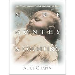 Nine Months & Counting: Bible Promises/Bright Ideas f/Pregnancy and After
