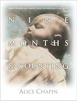 Nine Months & Counting: Bible Promises/Bright Ideas f/Pregnancy and After