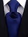 Scott Allan Mens Micro Dot Solid Color Necktie