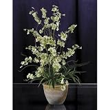 Shopzeus USA zeusd1-CALA-4269891 Dancing Lady Silk Orchid Arrangement