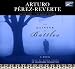 The Painter Of Battles (Audio CD)
