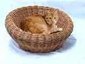 Katzenkorb Weide mit Kissen, Gr&ouml;&szlig;e:Durchm. ca. 60 cm. H&ouml;he 30 cm