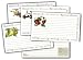 Clear Solutions Fruit Recipe Cards with Protectors, 4 x 6-Inch