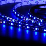 300 SMD LED Strip Rope Light 16.4FT Flexible Blue For Shopping Mall Park Theater Restaurant