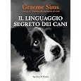 Dettagli prodotto