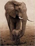 Momma s Boy by W. Michael Frye. PLAQUE MOUNTED. 27.00 inches width by 35.00 inches height. Highest Quality Art Poster Print