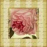 Rose and Romance II Botanical Art Poster Print by Pela Design, 12x12
