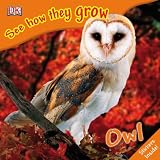 Owl (See How They Grow)