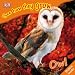 See How They Grow Owl