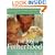 The Joy of Fatherhood: The First Twelve Months Expanded 2nd Edition