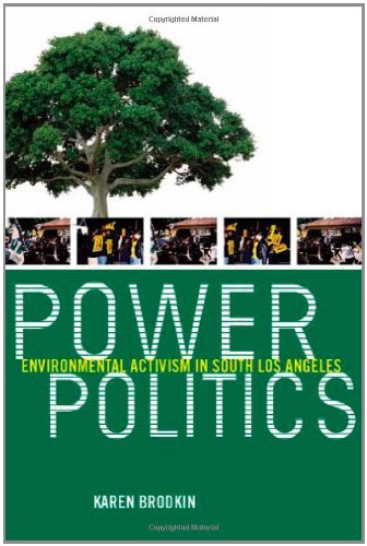 Power Politics: Environmental Activism in South Los Angeles