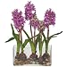 Purple Hyacinth w/Rectangle Vase Silk Flower Arrangement