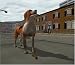 51S065VETFL. SL75  Cheap Buy  Dogs Life