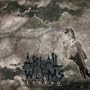 Like Carrion Birds