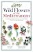 Wild Flowers of the Mediterranean: A Complete Guide to the Islands and Coastal Regions