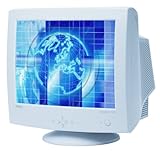 NEC AccuSync AS700 17" CRT Monitor (White)