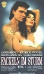 Fackeln im Sturm - Teil 1 [VHS]