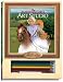 The American Girls Art Studio: Felicity (American Girls Collection Sidelines)