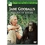 Jane Goodall's Return to Gombe