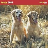 Hunde, Broschürenkalender