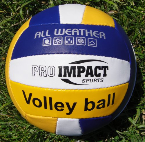 Pro Impact Sports - All Weather PRACTICE Volleyball - PVC - Official Size