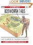 Bosworth 1485: Last Charge Of The Plantagenets (Campaign)