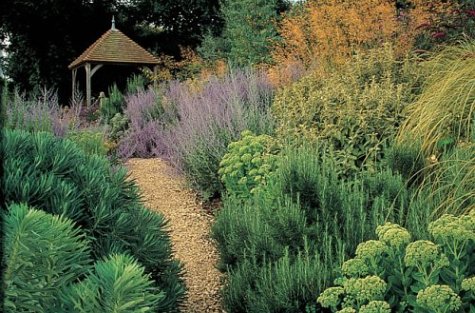 Book of Garden Plans