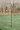 Droll Yankees SEP 68-Inch Shepherds Envy Pole with Hanging Arm